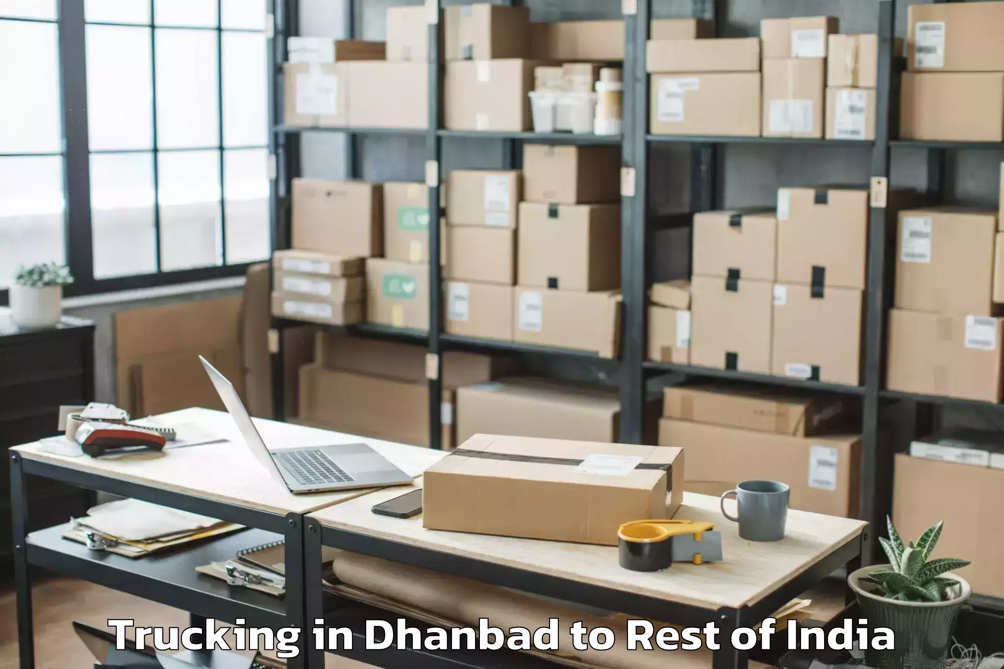 Leading Dhanbad to Tangmarg Trucking Provider